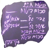 מחשבון ביטוח